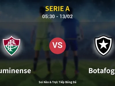 Kết Quả: Fluminense 1-0 Botafogo – Highlight & Bàn Thắng | Serie A