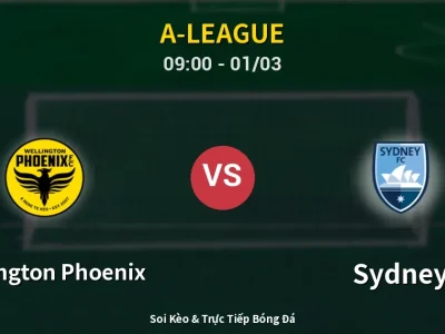 Kết Quả: Wellington Phoenix 0-1 Sydney – Highlight & Bàn Thắng | A-League